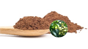 ผงสกัดใบมะกอก98% คุณภาพสูงสารสกัดจากใบมะกอก - Product Image 2