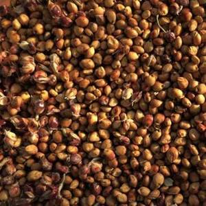 Sorghum rouge et blanc à vendre / Farine de sorghum blanche / Grains de sorghum à vendre - Product Image 1