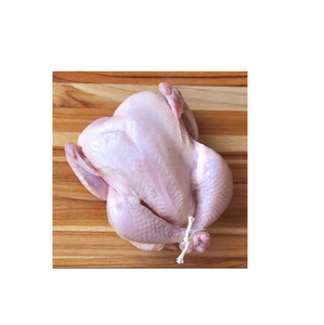 Compre pollo entero congelado fresco barato Halal en línea, perfecto para asar a la parrilla y reuniones familiares, obtenga el suyo hoy - Product Image 4