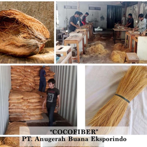 Fibres de coco de qualité supérieure pouvant être utilisées pour les balais et autres outils de nettoyage, ainsi que pour la fabrication d'équipements. - Product Image 3