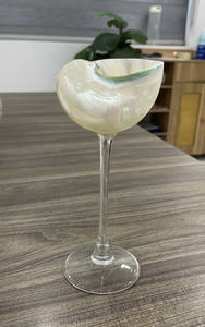 Taza de concha marina con tapa de vidrio transparente utilizada para cenas tropicales y exhibiciones artísticas de mesa - Product Image 4