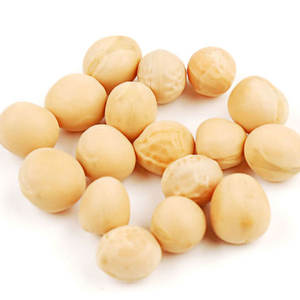 Guisantes Amarillos Superior, Pisum Sativum, Grado Alimenticio y para Piensos, Limpios, Clasificados, Alto Contenido Proteico, Empacados a Granel con un Año de Vida Útil - Product Image 4