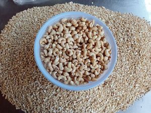 High Yield W320 Cashew <b>Nuts</b> W450 SW240 SW320 SW450 W240 Whole Cashew <b>Kernels</b> Export Grade with Low Breakage Wholesale - Product Image 5