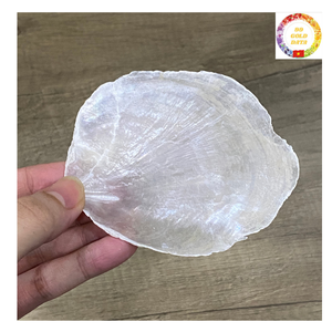 Discos blancos redondos naturales de concha Capiz con agujeros a granel al por mayor para carillones de viento hechos a mano decoración de cortinas y joyería DIY - Product Image 2