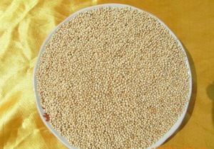Millet pour l'alimentation des bovins alimentaires à haute teneur en protéines Millet jaune et blanc biologique riche en protéines Millet à grains sans gluten pour l'exportation - Product Image 6