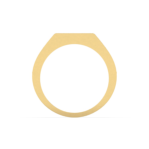 แหวนแต่งงานผู้ชาย สไตล์ฮิปฮอป เพชรเลี้ยงในห้องปฏิบัติการ ทองคำขาว 18k แหวนทองคำแท้สำหรับงานแต่งงาน - Product Image 5