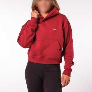 Oem Service New Design Custom Women Oversized Fleece Hoodie Long 100% Cotton Pullover Sweatshirt Plus-Size Autumn Anti-Wrinkle - Product Image 5