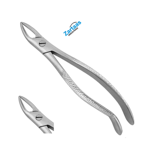Fórceps de Extracción de Acero Inoxidable de Alta Calidad Fig. Fabricante y Exportador de 76 Instrumentos Dentales - Product Image 1