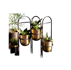 Macetas de Metal de Diseño Moderno y Ecológico, con Múltiples Formas, para Decoración de Plantas, Suministros de Jardín, Plantas Suculentas, Hogar Interior - Product Image 5
