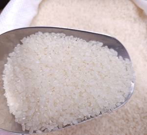 Vilaconic Vietnamita Japonica Arroz aromático de grano corto Textura dura Grado superior seco para cocina de sushi-Contacto + 84 813 623 970 - Product Image 5