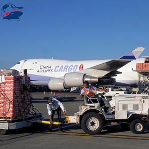 Coût d'expédition le moins cher de la Chine vers l'Europe Fret bon marché de la Chine DDP à <span class=keywords><strong>Dubai</strong></span> - Product Image 5