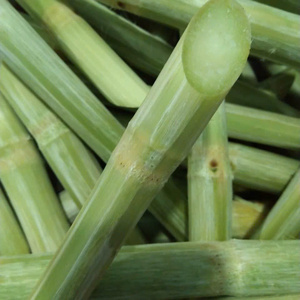 ไม้เท้าน้ำผลไม้ธรรมชาติสีม่วงแช่แข็งจากเวียดนาม - Product Image 2