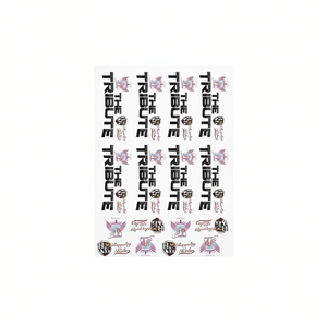 Feuilles de transfert DTF 22''x48'' à chaud, papier et film durables et faciles à utiliser - Product Image 1