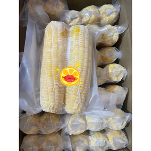 MAÏS JAUNE ROI EN GROS: PRIX DE MAÏS SUCRÉ CONGELÉ IQF, PRIX BON MARCHÉ DE L'USINE DU VIETNAM. - Product Image 1