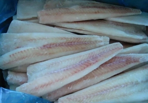 Filet de morue d'<span class=keywords><strong>Alaska</strong></span> congelé PBO sans peau - Product Image 4