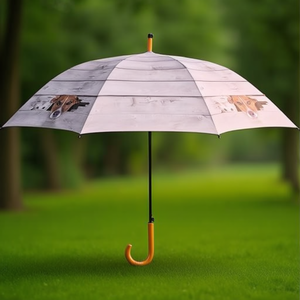 Parapluie Cuckoo adapté aux animaux domestiques pour chiens et chats - Product Image 3
