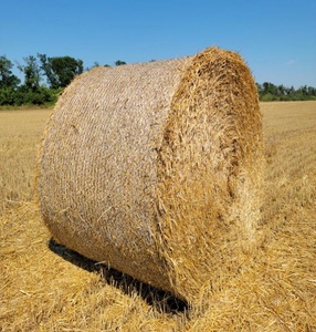 Foin d'alfalfa de haute qualité pour l'alimentation des chevaux, des bovins et des porcs - Sac en vrac avec livraison rapide et prix réduits - Product Image 1