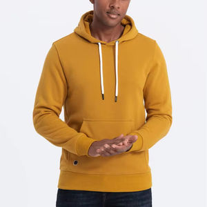 Vente en gros bon marché directement à partir du sweat à capuche de production Professional Turkish Quality New and soigneusement conçu hoodie men - Product Image 1