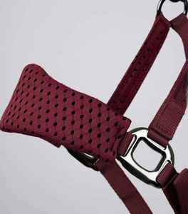 Cabestro para Caballo Estilo Inglés Resistente, Material de Alta Calidad para Salto, Uso en Exteriores e Interior - Product Image 4