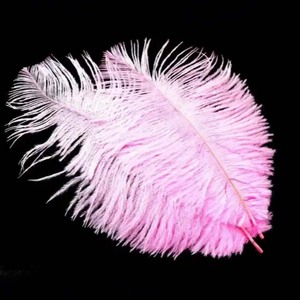 Fournisseur de plumes en gros pleine grandeur 25-30cm plumes d'autruche vert foncé naturel pas cher pour la vente d'artisanat - Product Image 2