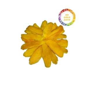 Mangue séchée du Vietnam de qualité supérieure faite avec des mangues mûres fraîches sélectionnées Choix de collation parfait et ingrédient de cuisson - Product Image 4