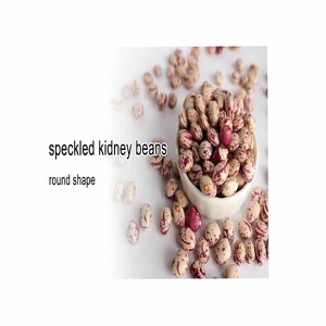 ถั่วไตเม็ดเล็กสดแห้งเป็นจุดๆสำหรับโรงงานผลิต - Product Image 5