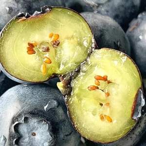 Fruta Saludable de Alta Calidad, Deliciosas Bayas Frescas Naturales de Origen Egipcio, Exportador - Product Image 3