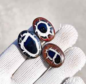 Black Septarian Hand Polished Unique Gemstone Lot For Jewelry Crafters - Product Image 3