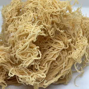 Vietnam Dried <b>Sea</b> <b>Moss</b> <b>Raw</b> Eucheuma Cottonii Purple Gold Irish Seaweed Wildcrafted Spinosum Bulk Pack Custom Label - Product Image 1