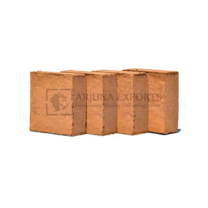 ลูกพลัมมะพร้าวสกัด5กก. สำหรับปลูกต้นพลัมลูกสตรอเบอรี่ - Product Image 1