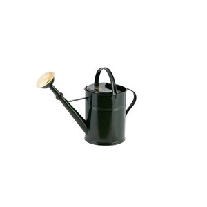 Regadera para servir agua de plantas metálicas con boquilla de metal elegante, herramientas de jardín, regadera para jardinería al aire libre - Product Image 2