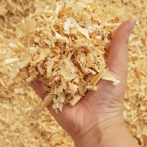 Pine Wood Shavings Manufacturer and Supplier in Vietnam