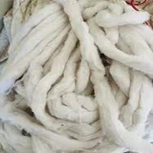 Fibra de algodón crudo orgánico certificado a precios moderados - Product Image 3