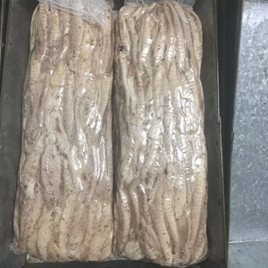 Filetto Singolo di Tonnetto Skipjack Congelato e Cotto con 10% di Scaglie Precotte 3kg Qualità Sushi per Inscatolamento - Product Image 1