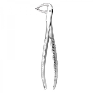 Maquinaria Powered ROOT FORCEPS Cumple con el estándar de seguridad - Product Image 1
