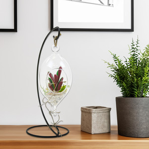 HCH1007 - Terrarium suspendu en verre oblong / Porte-bougie (double crochet) - 7 - Product Image 3