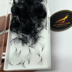 OEM tốc độ cao lông mi mở rộng 10D đến 20D khối lượng LÔNG MI LÔNG cho ứng dụng nhanh chóng trong các tiệm có nhu cầu cao - Product Image 4