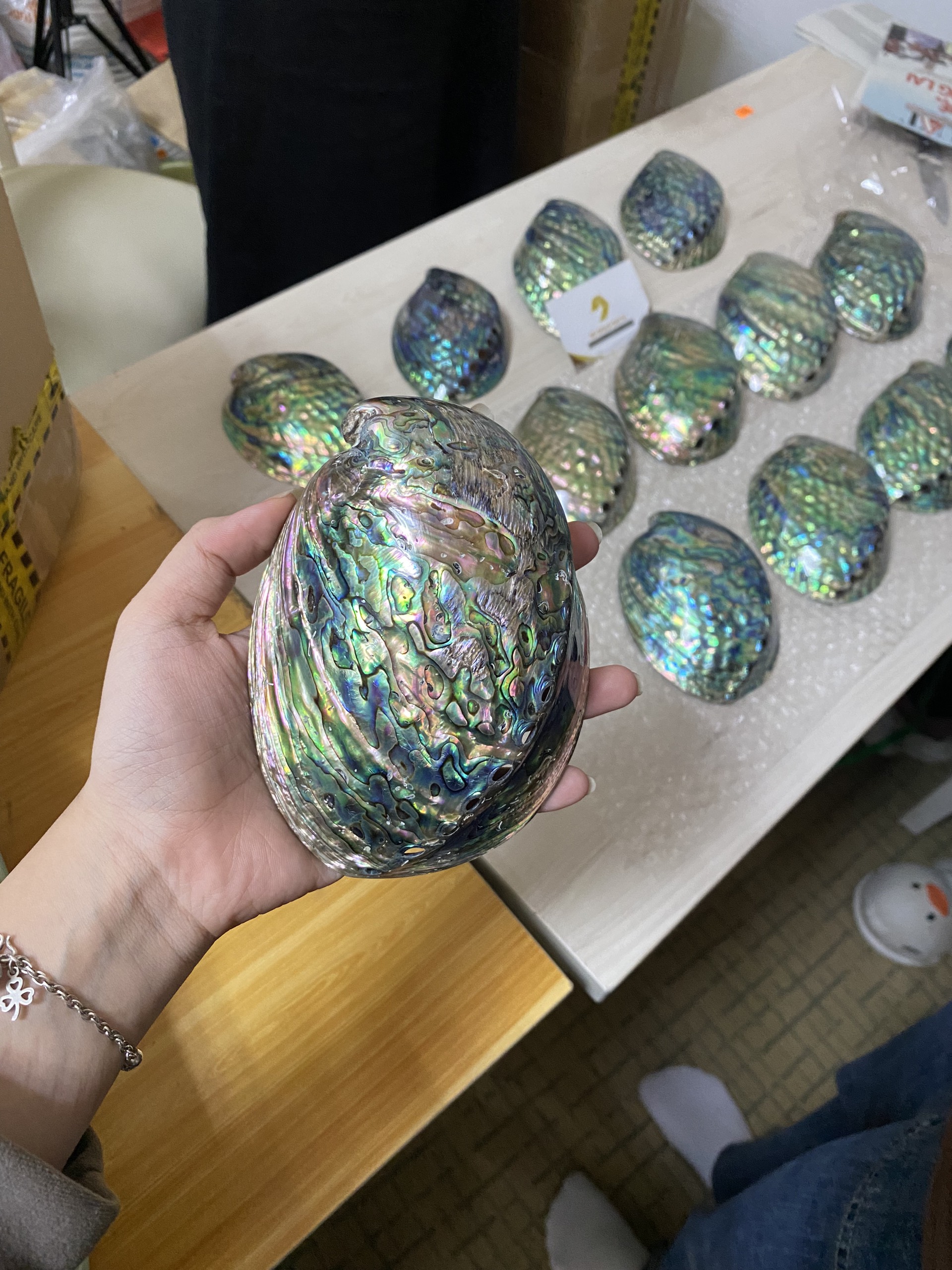 アワビの貝殻 虹色 インテリア 天然装飾品 約22cm×17cm アワビの貝殻 虹色 インテリア 天然装飾品 約22cm×17cm