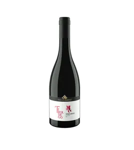 DOC anggur merah Italia Teroldego Rotaliano Doc kualitas tinggi buatan Italia dari botol kaca Trentino