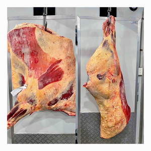 Top Grade Beef Carcass Wholesale Stock With Reliable Supply - Product Image 5