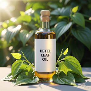 Huile de feuille de bétel en vrac fournisseur d'huile essentielle naturelle en gros exportateur matière première cosmétique pour savon parfum bougie - Product Image 3