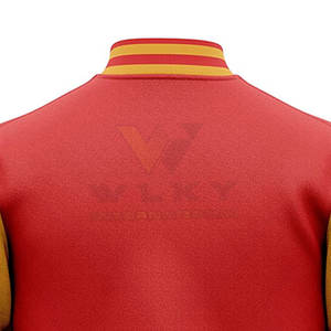 Nouvelle veste Letterman bon marché à la mode et à prix le moins cher Nouveau design de vêtements pour hommes Veste Letterman - Product Image 6