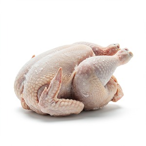 Pollo entero congelado del mejor vendedor disponible para exportación en embalaje a granel, ideal para mayoristas y cadenas de tiendas - Product Image 4