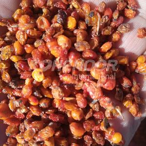 Estallido de bayas de espino amarillo seco naranja y nutrición - Product Image 1