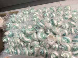 Perle polie Jade Turbo Shell Decor fait à la main Souvenir naturel coquillage Art nautique Style idée cadeau pour la maison ou Resort - Product Image 4