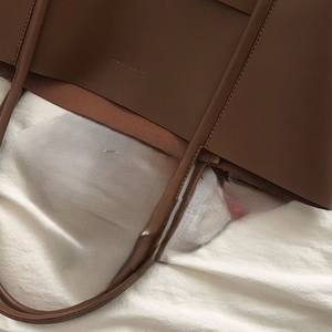 กระเป๋าถือหนังผู้หญิง Hamid International HI-WTV-001 ดีไซน์ล่าสุด ทนทาน น้ำหนักเบา สไตล์หรูหรา สายสะพายยาว ปรับแต่งได้ - Product Image 4