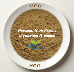 Extrait d'herbe de cheval (Equisetum Hyemale) pur et naturel de qualité alimentaire, fourni directement par l'usine HGO, rapports d'extraction 5:1, 10:1, 20:1 - Product Image 1