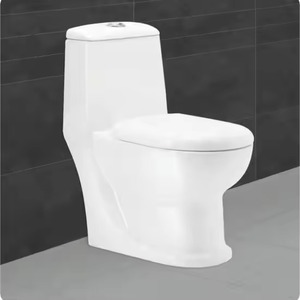 Offre Spéciale Couvre-siège à fermeture en douceur Wc Toilette Sanitaire Hôtel Toilettes en céramique S-trap Porcelaine Siphonic Toilette monobloc - Product Image 2