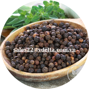 Pimienta negra 500gl ASTA Mejor precio Mayor a granel de proveedor en Vietnam Condimento de pimienta picante/Sr. Kevin - Product Image 2