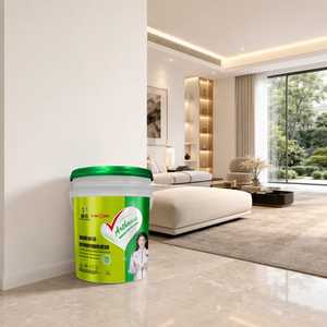 Stucco Nano Inorganico <span class=keywords><strong>per</strong></span> Interni ad Alte Prestazioni, Pasta Composita <span class=keywords><strong>per</strong></span> America Latina, Stucco Spalmabile - Product Image 3